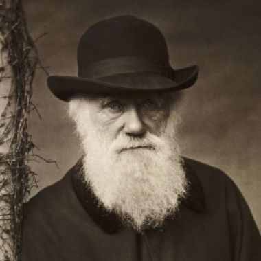 Charles-Darwin-3000-3x2gty-58b9982e5f9b58af5c6a277f